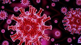 Timeline: Spread of COVID-19