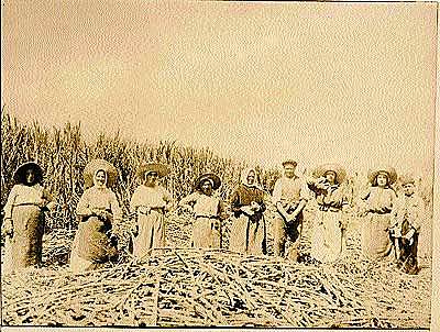 En 1920 caé el precio de la azucar afectando la economía