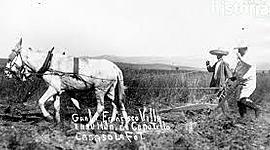 Timeline: Políticas agrícolas en diferentes sexenios en México