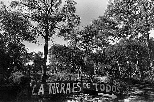 Presidente Adolfo Ruiz Cortines. (1952-1958).