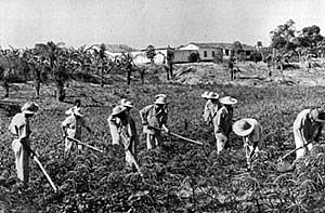 Presidente Gustavo Díaz Ordaz. (1964-1970).