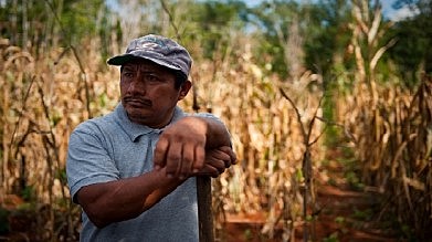 Presidente Carlos salinas de Gortari. (1988-1994).