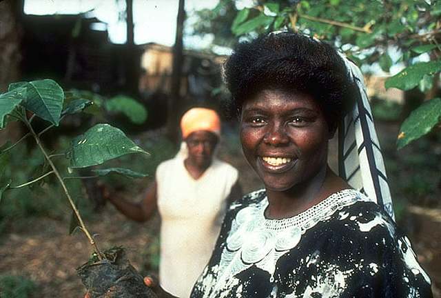Wangari Maathai (Kenia, 1940-2011)