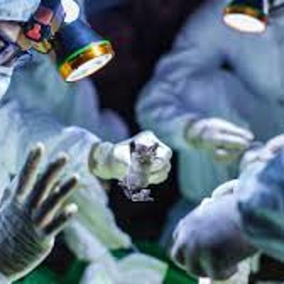 Timeline: Coronavirus