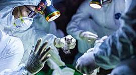 Timeline: Coronavirus