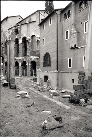 Only Four Concentration Camps Are Left