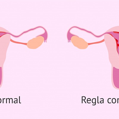Timeline: Ciclo menstrual