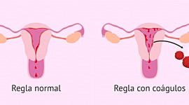 Timeline: Ciclo menstrual