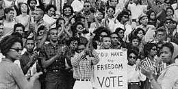 Freedom Summer