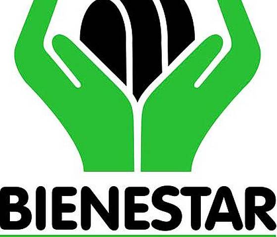 Creación del (ICBF)