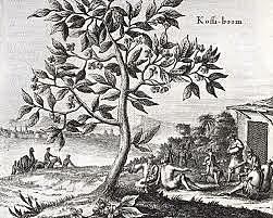 Enfermedad No 1 Patógeno: Roya del cafeto (Hemileia vastatrix)