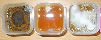 Primer uso de medios de cultivo