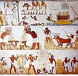 Civilizacion Egipcia