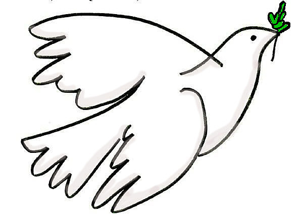 ORGANITZACIÓ DE LA PAU