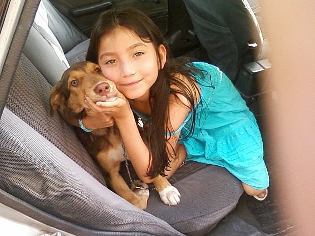 me regalaron un perrito