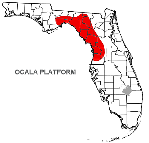 Ocala Platform