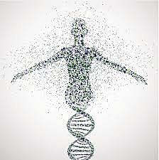 Human genome Project Cont.