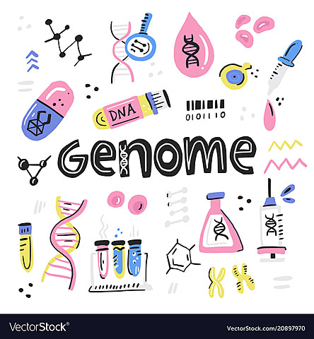 Human genome Project Cont.