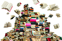 Reading to learn, reading for fun, reading, reading, reading galore