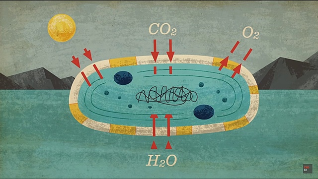 LA CATÁSTROFE DEL OXÍGENO