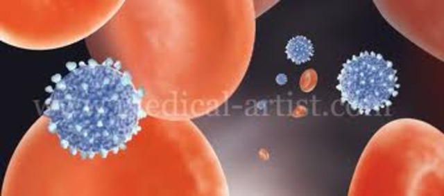 The H1N1 influenza strain is deemed to global pandemic