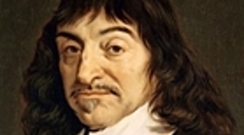 Timeline: Linea de Tiempo