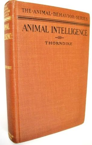 Thorndike (1911)