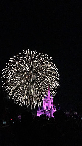 Went to Disney World