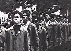 Black Panthers Formed