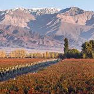 Timeline: Un poco de historia en Mendoza