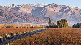 Timeline: Un poco de historia en Mendoza