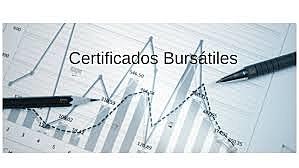 SE INCORPORAN LOS CERTIFICADOS BURSÁTILES AL MERCADO DE VALORES