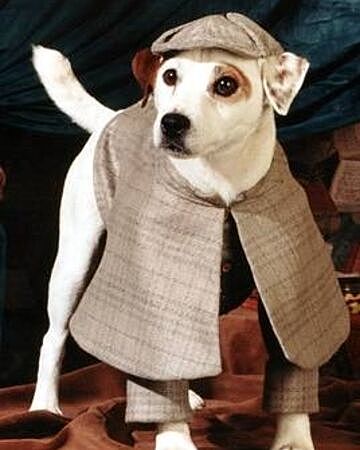 Reading Rainbow and Wishbone