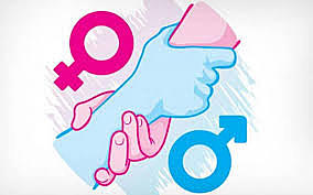 El feminismo igualdad y equidad de género