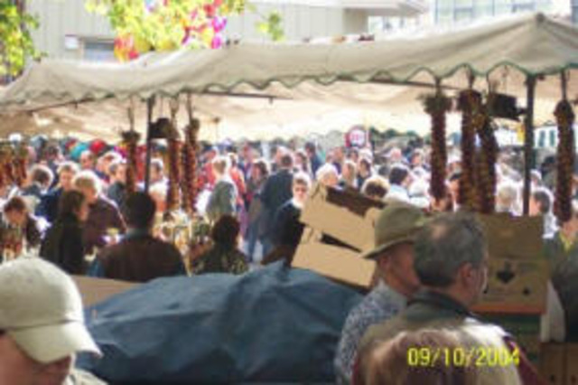 Constitución de Weimar 1,919: CIVIL