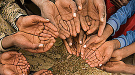 Timeline: Derechos Humanos