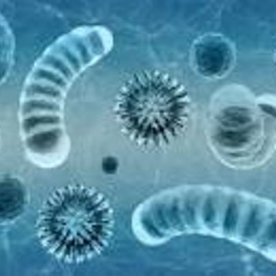 Timeline: linea de tiempo de la Microbiología