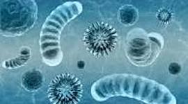 Timeline: linea de tiempo de la Microbiología