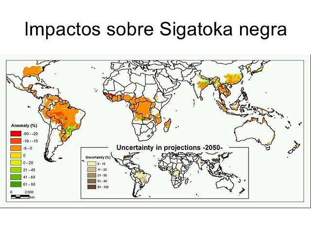 En los Cultivos del Sur de America