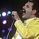 Fredy mercury 1