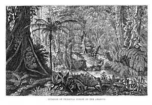 1541 Gonzalo Pizarro y Francisco de Orellana dirigen una expedición al Oriente.