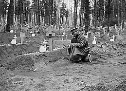 Final de la guerra civil