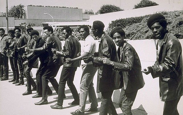 Black Panthers Formed