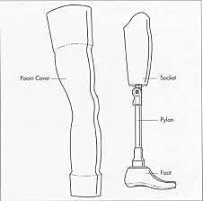 Prosthetic Limbs