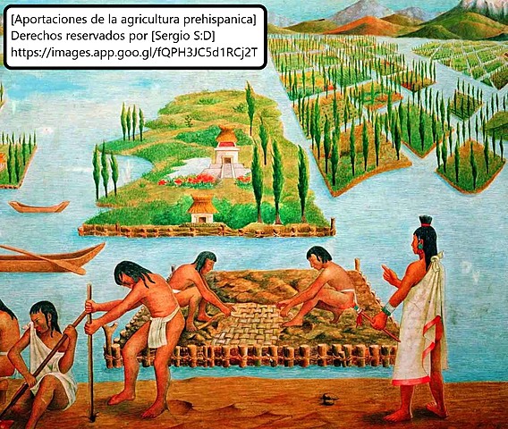 Época Prehispánica. (Los aztecas tenían una amplia cantidad de instituciones jurídicas agrarias)