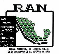 Publicación del Primer Reglamento del Registro Agrario
