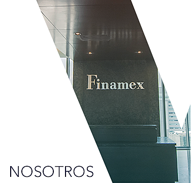 CREACIÓN DE FINAMEX