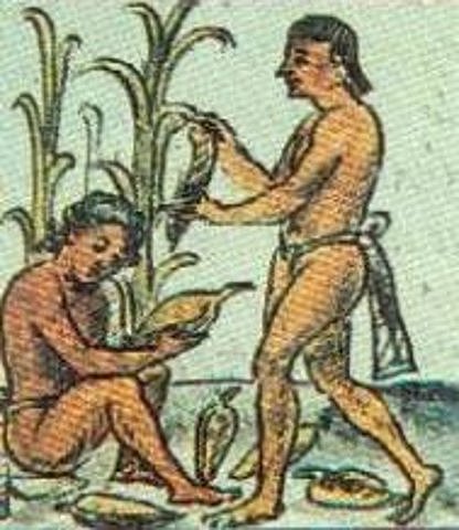 Dotación de tierras