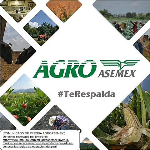 Ley de Fondos de Aseguramiento Agropecuario y Rural.