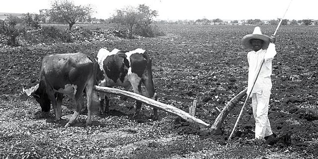 Reforma de artículo 27